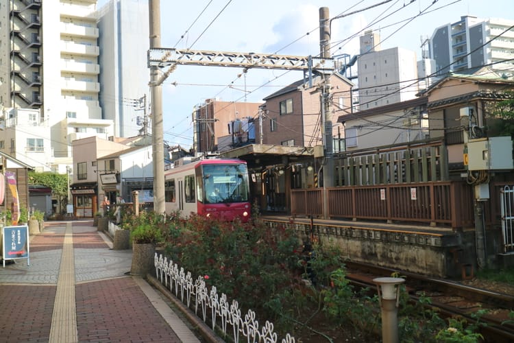 Back to the Main Branch